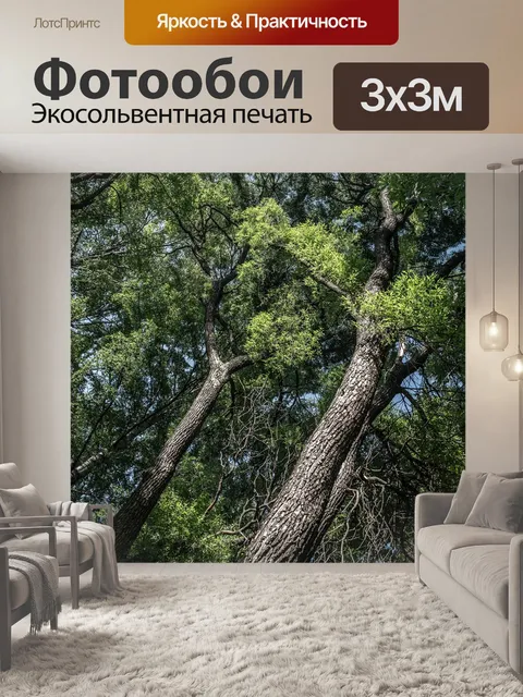 Фотообои Деревья