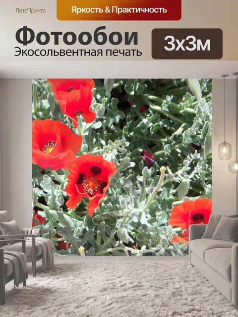 Фотообои Маки