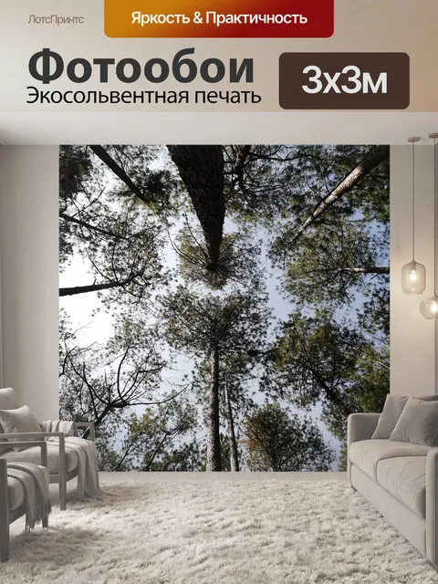 Фотообои Лес