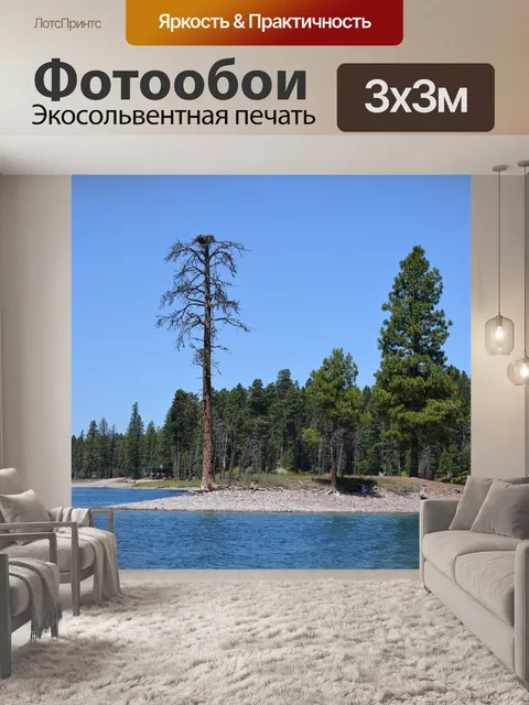 Фотообои Деревья