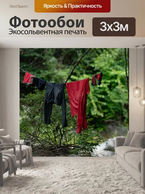 Фотообои Мокрый от дождя