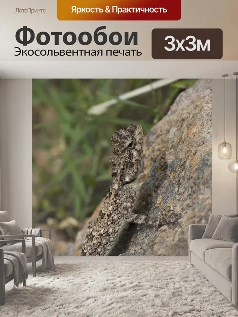Фотообои Природа