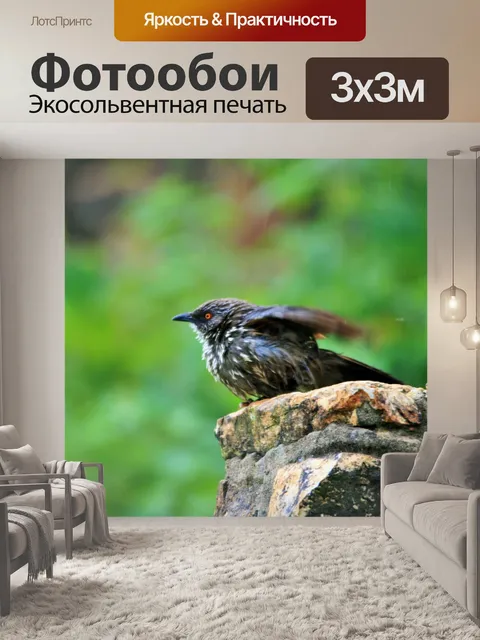 Фотообои птица встряхивая мокрые перья