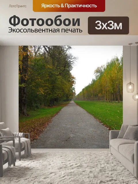 Фотообои Путь