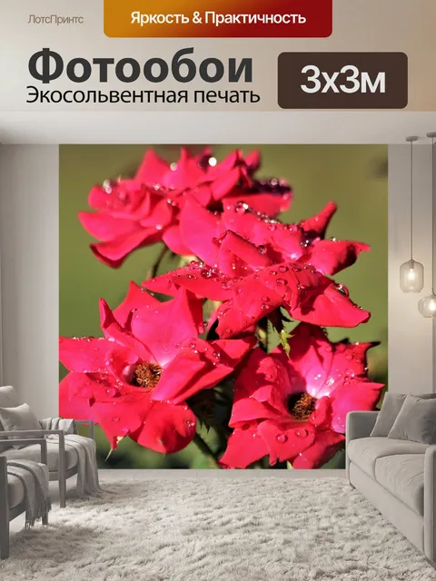 Фотообои Красные розы и капли дождя