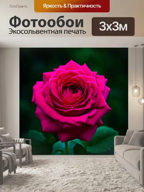 Фотообои розы в стиле абстракции, эффект слияния разных стилей, соединяющихся в уникальном художественном решении