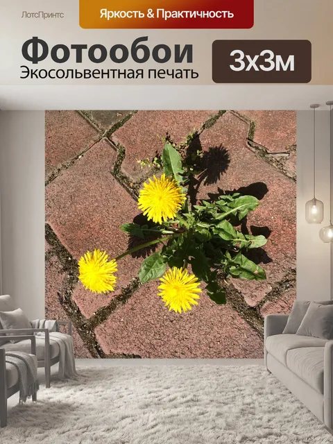 Фотообои Одуванчик