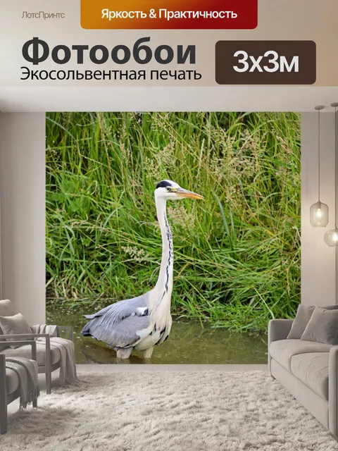 Фотообои Цапля