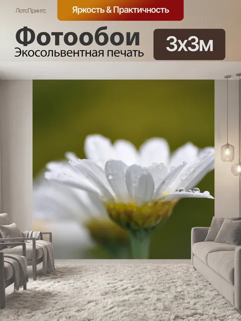Фотообои Цветы