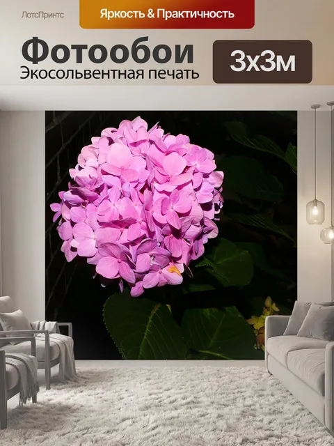 Фотообои Цветок
