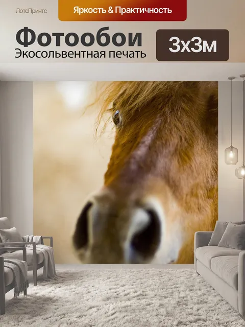 Фотообои Лошадь