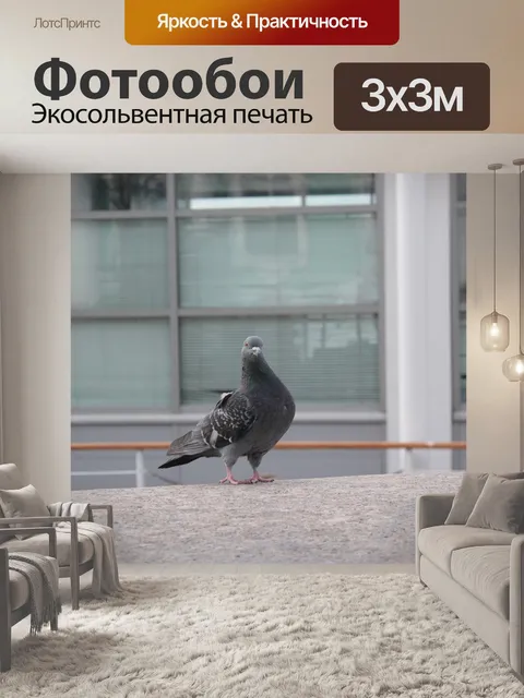 Фотообои Птица