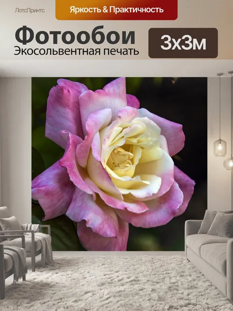 Фотообои Роза Блум