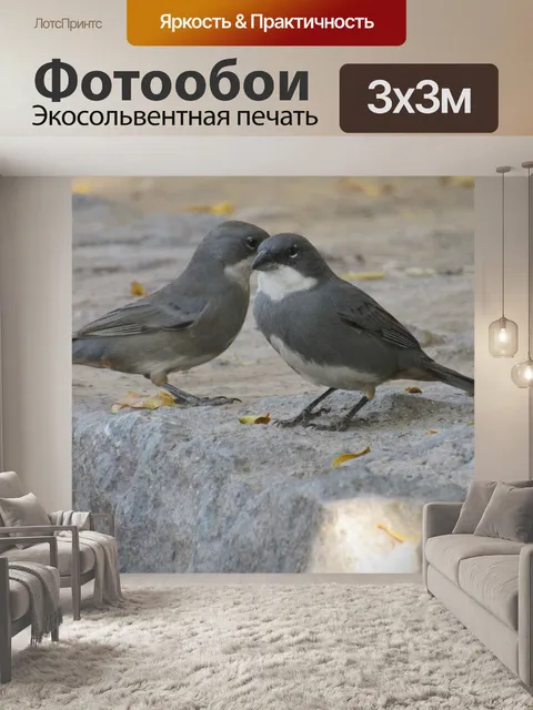 Фотообои Птица
