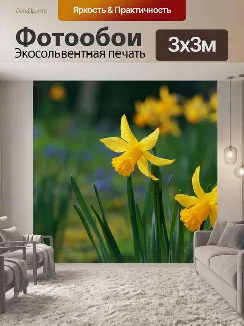 Фотообои Нарцисс цветы цветут весной