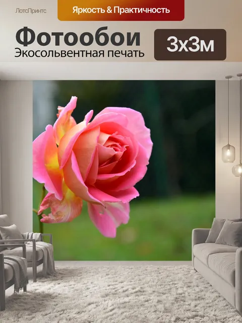 Фотообои Розовый