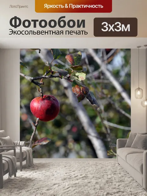 Фотообои Одноместный яблоко на дереве