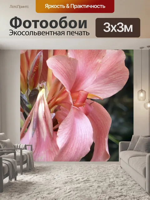 Фотообои Розовые цветы Ирис