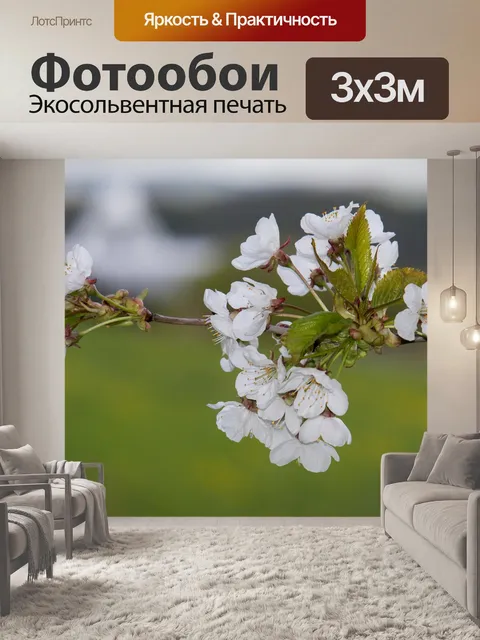Фотообои Вишня в цвету