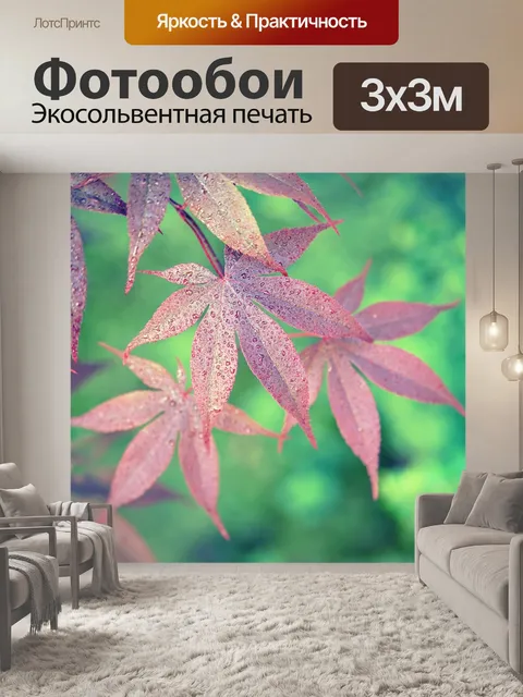 Фотообои Клен