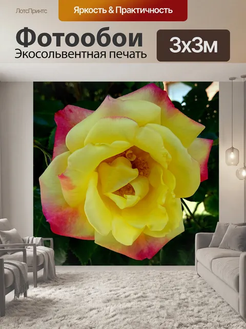 Фотообои Желтый красный куст цветок