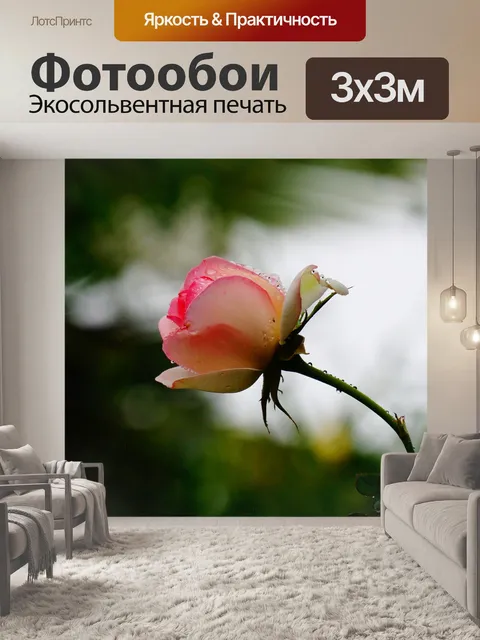 Фотообои Розовый