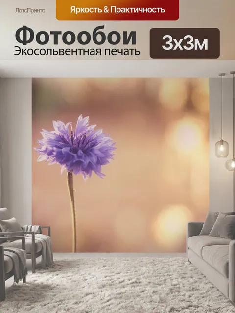 Фотообои Василек цветок цветущее поле