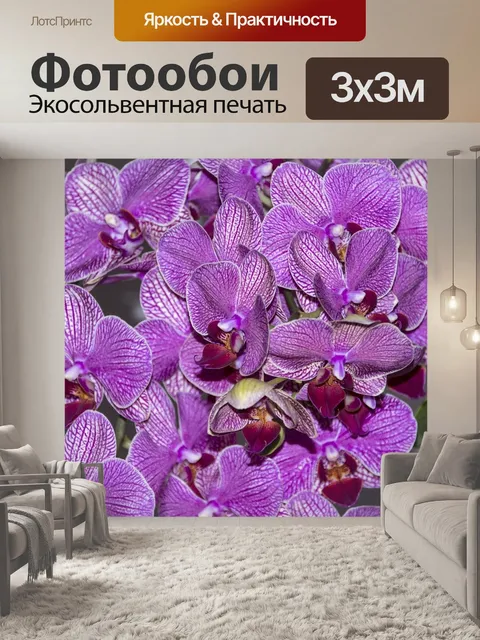 Фотообои Расцветает