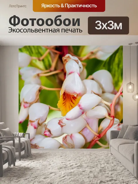 Фотообои белые мини-орхидеи