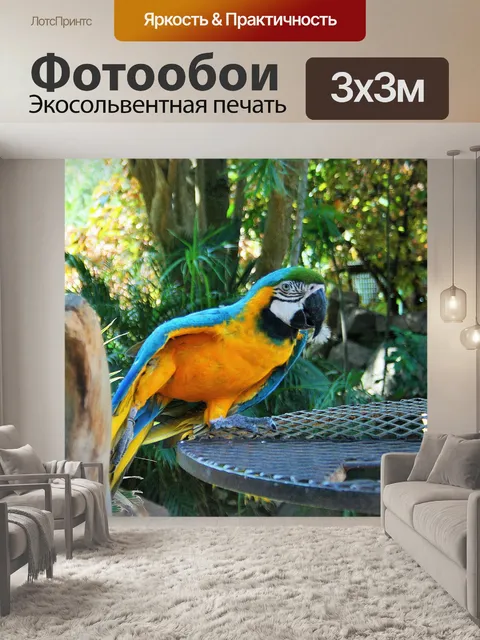 Фотообои ара попугай