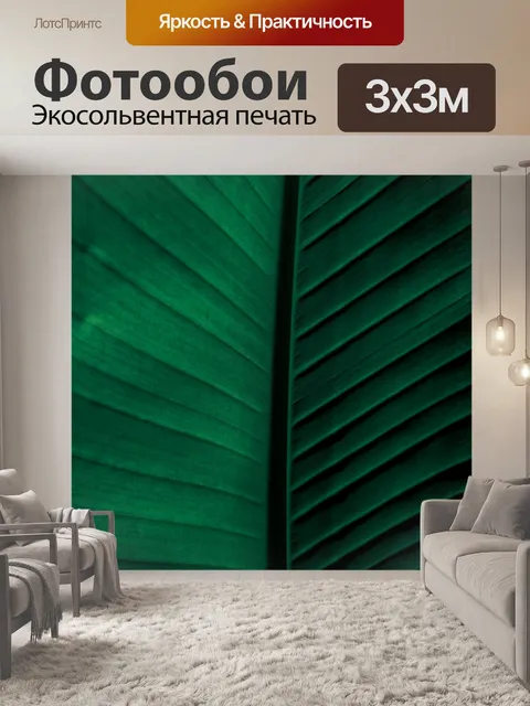 Фотообои Темный лист пальмы