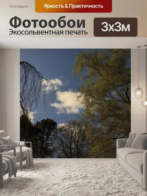 Фотообои Фон