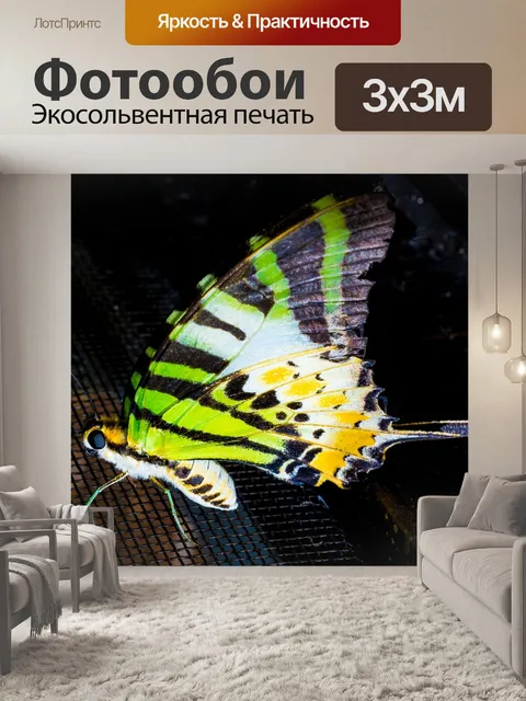 Фотообои Бабочка