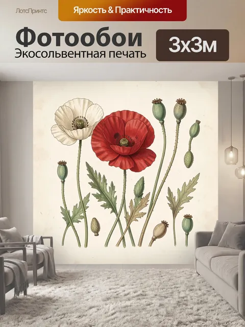 Фотообои Красные и белые маки с семенами