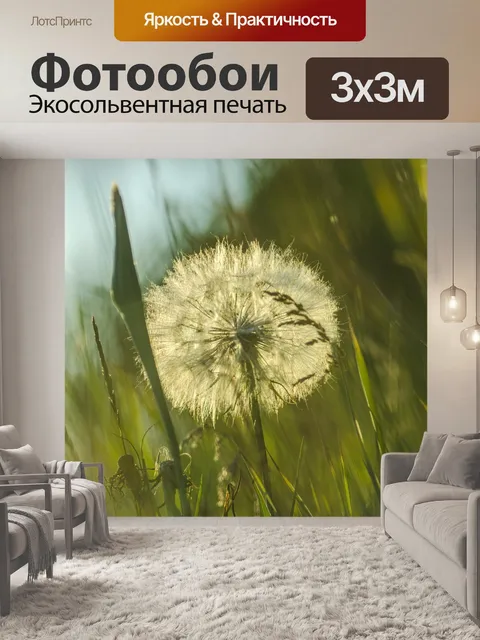 Фотообои Одуванчик