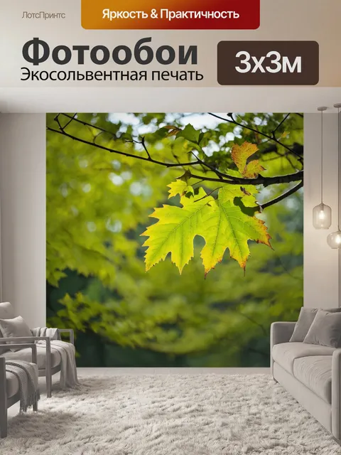 Фотообои ветви с листьями: спокойствие природы