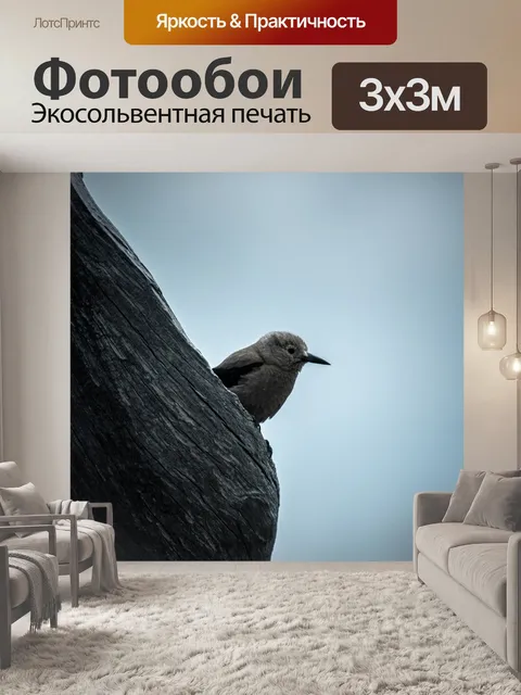 Фотообои Животное