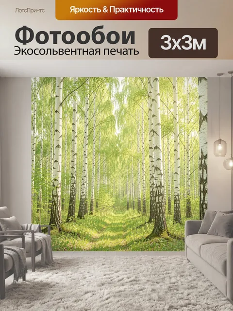 Фотообои Березовая роща в солнечный день