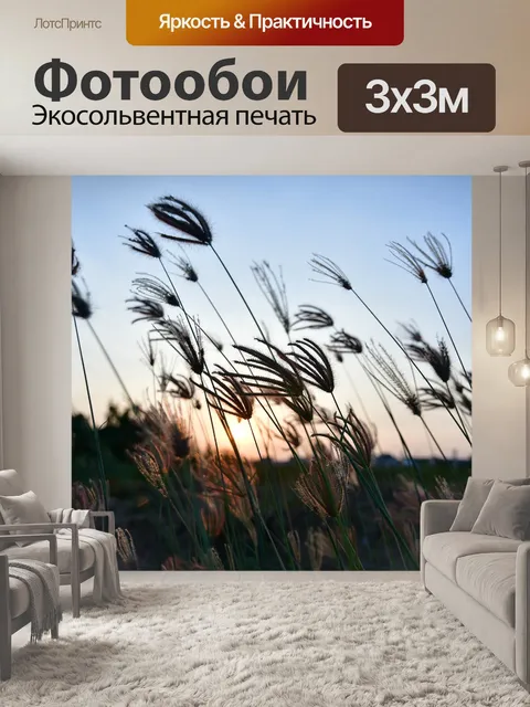 Фотообои Вечер