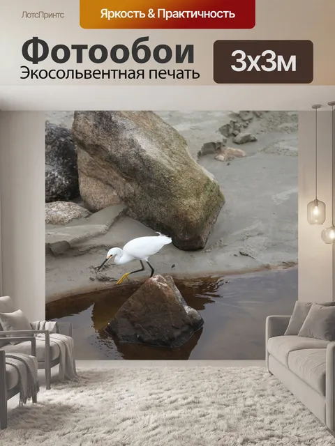 Фотообои Цапля