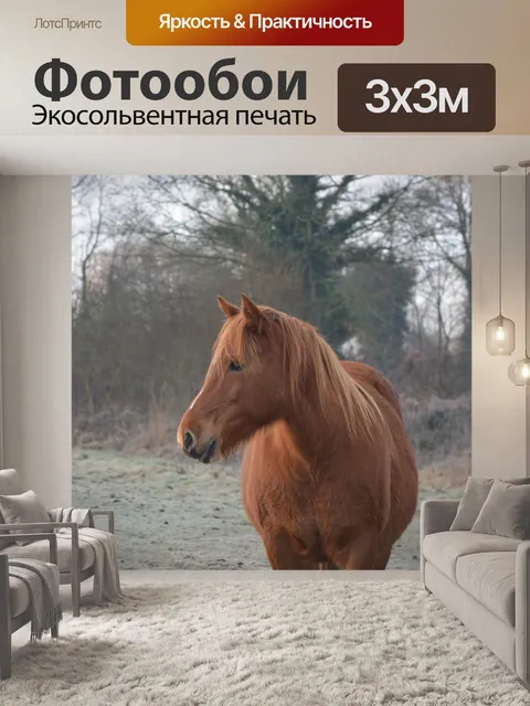 Фотообои Лошадь