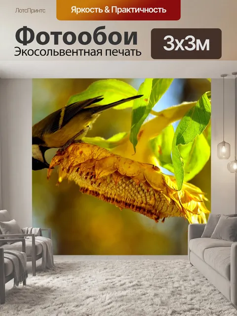 Фотообои Большая синица