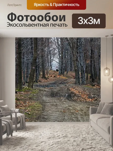 Фотообои Лес
