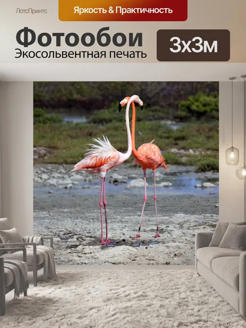 Фотообои Птицы
