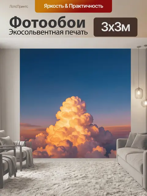 300 × 300 см · Экосольвентная печать