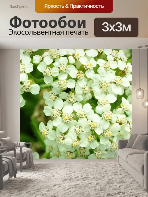 Фотообои Цветы