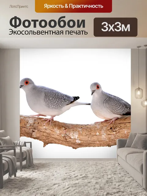 Фотообои Горлиц алмаз