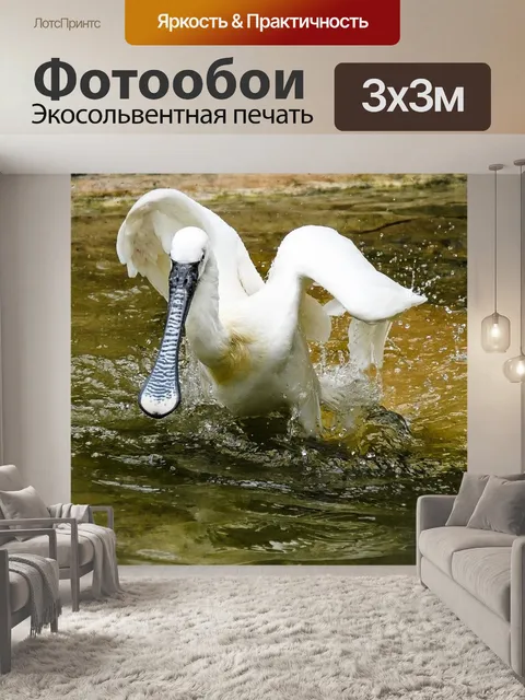 Фотообои Птица