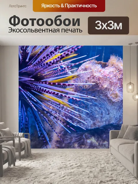 Фотообои Морской еж