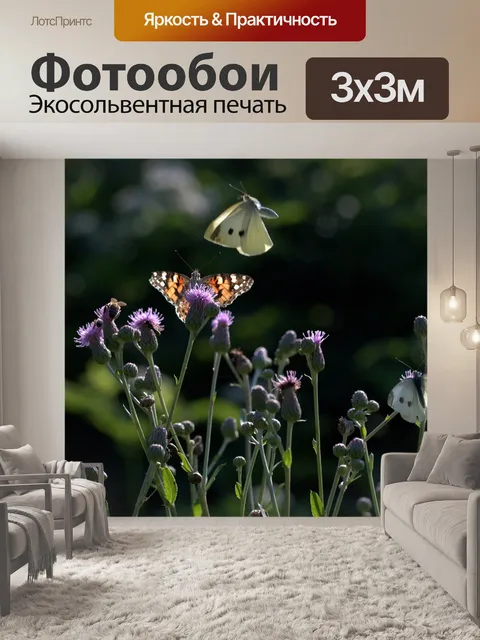 Фотообои Бабочки